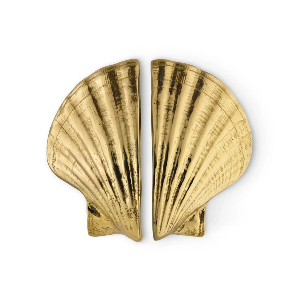 oc2039-seashell_01