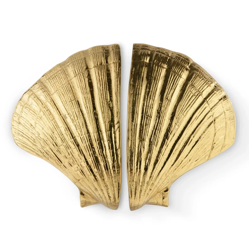 oc2041-seashell_01