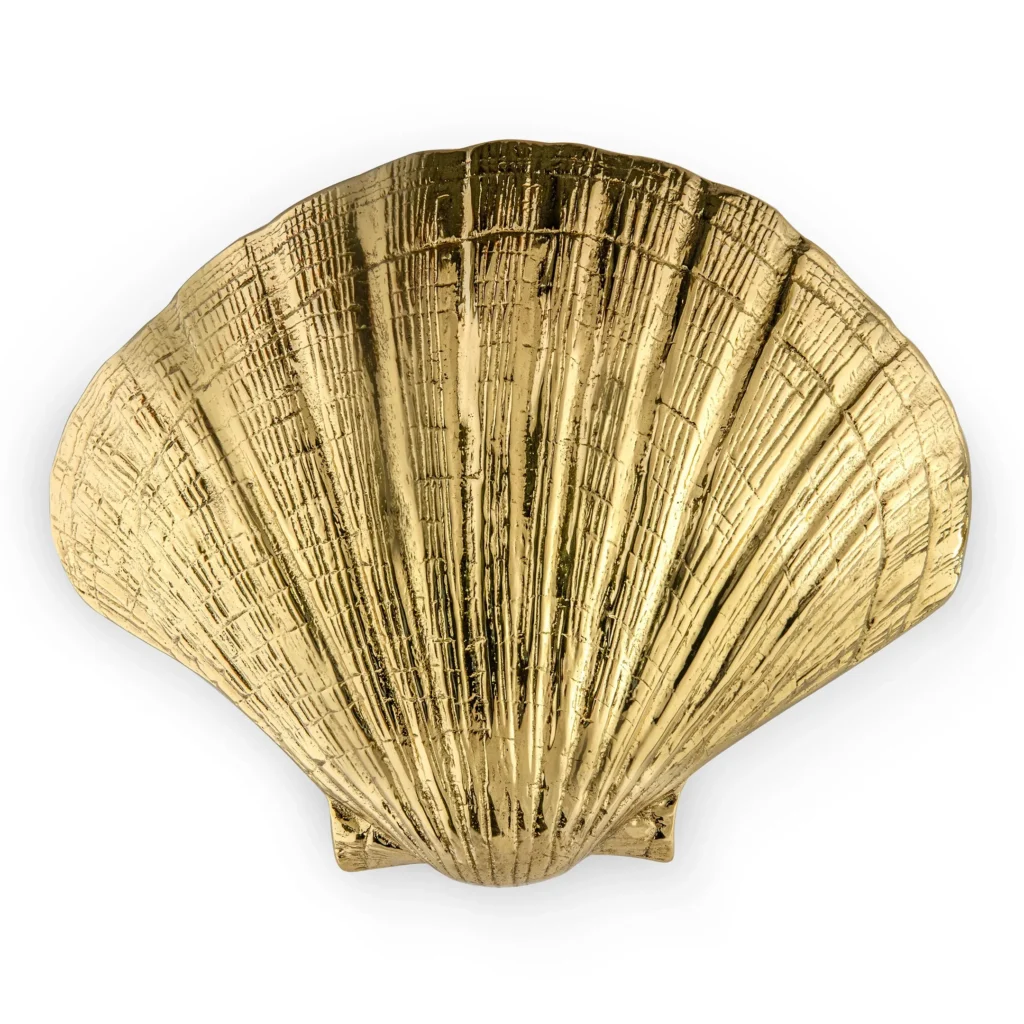 oc2042-seashell_01