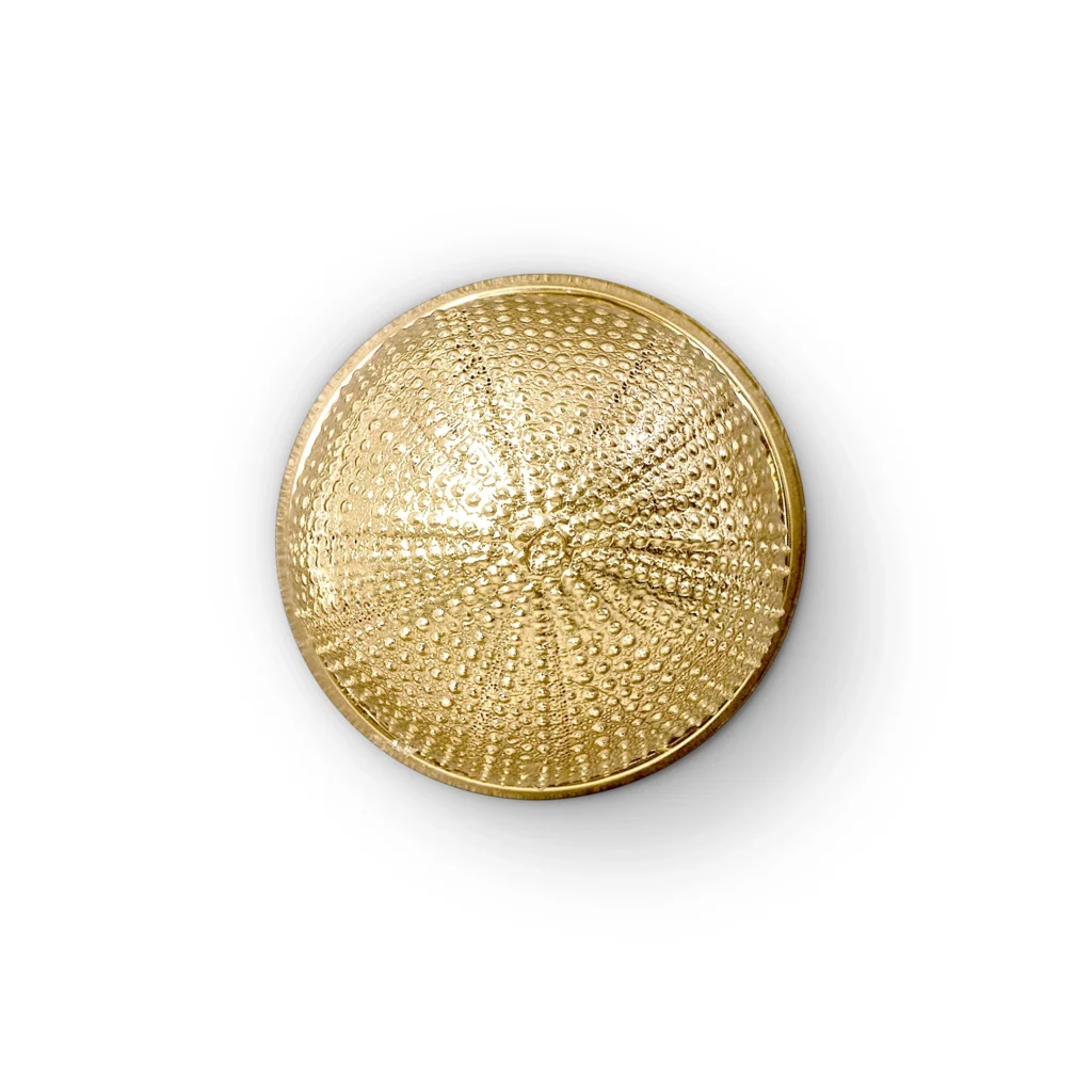 oc2048-urchin_01